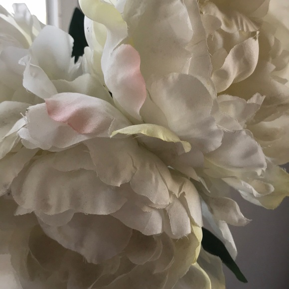 Meet your Posher, Nicole - Picture 1 of 1